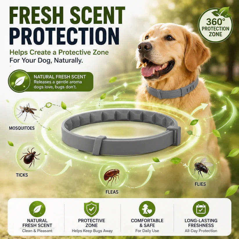 🐾🔥𝟓𝟎% 𝐎𝐅𝐅 𝐓𝐎𝐃𝐀𝐘 | 𝐋𝐚𝐝𝐲𝐬𝐜𝐚𝐫𝐭 𝐅𝐫𝐞𝐬𝐡 𝐒𝐜𝐞𝐧𝐭 𝐅𝐥𝐞𝐚 & 𝐓𝐢𝐜𝐤 𝐂𝐨𝐥𝐥𝐚𝐫 𝐟𝐨𝐫 𝐃𝐨𝐠𝐬 & 𝐂𝐚𝐭𝐬