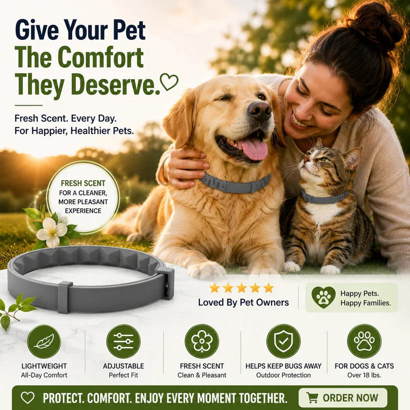 🐾🔥𝟓𝟎% 𝐎𝐅𝐅 𝐓𝐎𝐃𝐀𝐘 | 𝐋𝐚𝐝𝐲𝐬𝐜𝐚𝐫𝐭 𝐅𝐫𝐞𝐬𝐡 𝐒𝐜𝐞𝐧𝐭 𝐅𝐥𝐞𝐚 & 𝐓𝐢𝐜𝐤 𝐂𝐨𝐥𝐥𝐚𝐫 𝐟𝐨𝐫 𝐃𝐨𝐠𝐬 & 𝐂𝐚𝐭𝐬