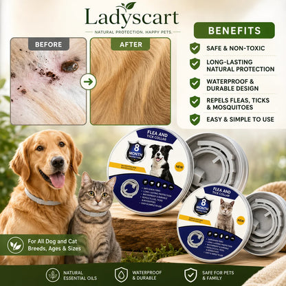 🐾🔥𝟓𝟎% 𝐎𝐅𝐅 𝐓𝐎𝐃𝐀𝐘 | 𝐋𝐚𝐝𝐲𝐬𝐜𝐚𝐫𝐭 𝐅𝐫𝐞𝐬𝐡 𝐒𝐜𝐞𝐧𝐭 𝐅𝐥𝐞𝐚 & 𝐓𝐢𝐜𝐤 𝐂𝐨𝐥𝐥𝐚𝐫 𝐟𝐨𝐫 𝐃𝐨𝐠𝐬 & 𝐂𝐚𝐭𝐬
