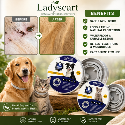 🐾🔥𝟰𝟵% 𝐎𝐅𝐅 𝐓𝐎𝐃𝐀𝐘 | 𝐋𝐚𝐝𝐲𝐬𝐜𝐚𝐫𝐭 𝐍𝐚𝐭𝐮𝐫𝐚𝐥 𝐏𝐞𝐭 𝐅𝐥𝐞𝐚 𝐓𝐢𝐜𝐤 & 𝐌𝐨𝐬𝐪𝐮𝐢𝐭𝐨 𝐂𝐨𝐥𝐥𝐚𝐫, 𝟴+𝐌 𝐇𝐮𝐦𝐚𝐧-𝐆𝐫𝐚𝐝𝐞 𝐀𝐝𝐣𝐮𝐬𝐭𝐚𝐛𝐥𝐞 𝐟𝐨𝐫 𝐃𝐨𝐠𝐬 & 𝐂𝐚𝐭𝐬