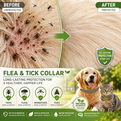 🐾🔥𝟓𝟎% 𝐎𝐅𝐅 𝐓𝐎𝐃𝐀𝐘 | 𝐋𝐚𝐝𝐲𝐬𝐜𝐚𝐫𝐭 𝐅𝐫𝐞𝐬𝐡 𝐒𝐜𝐞𝐧𝐭 𝐅𝐥𝐞𝐚 & 𝐓𝐢𝐜𝐤 𝐂𝐨𝐥𝐥𝐚𝐫 𝐟𝐨𝐫 𝐃𝐨𝐠𝐬 & 𝐂𝐚𝐭𝐬